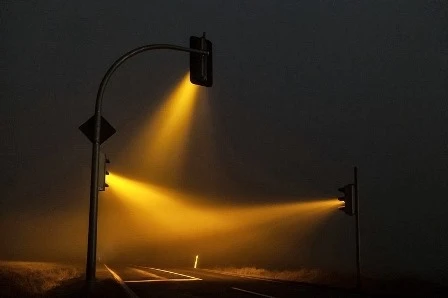 Để có được bức <a href='https://plo.vn/lens/' title='ảnh đẹp'>ảnh đẹp</a>,